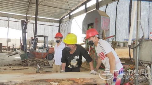 海南中顺国际木材产业园将打造全省首家大宗进口木材产品交易集散地